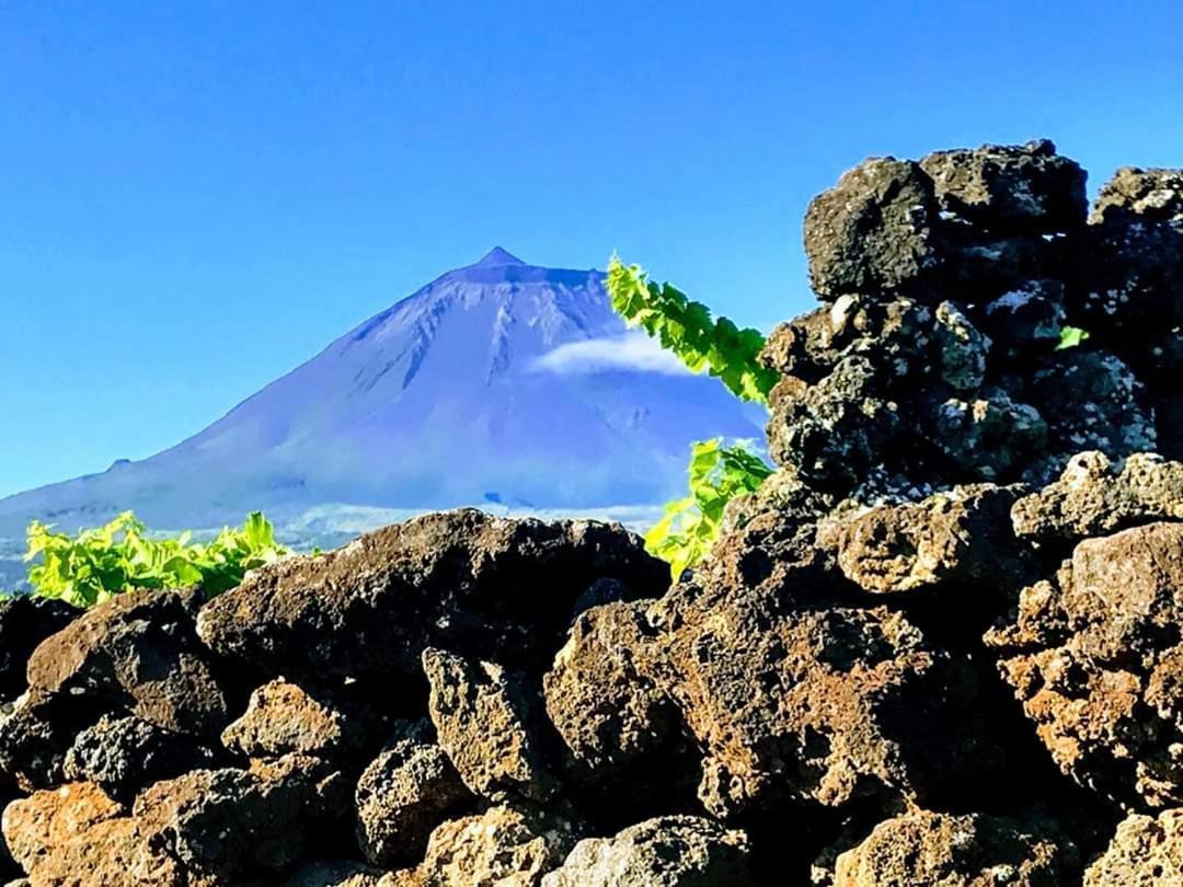 Lajido Baco'S Vineyard 빌라 외부 사진