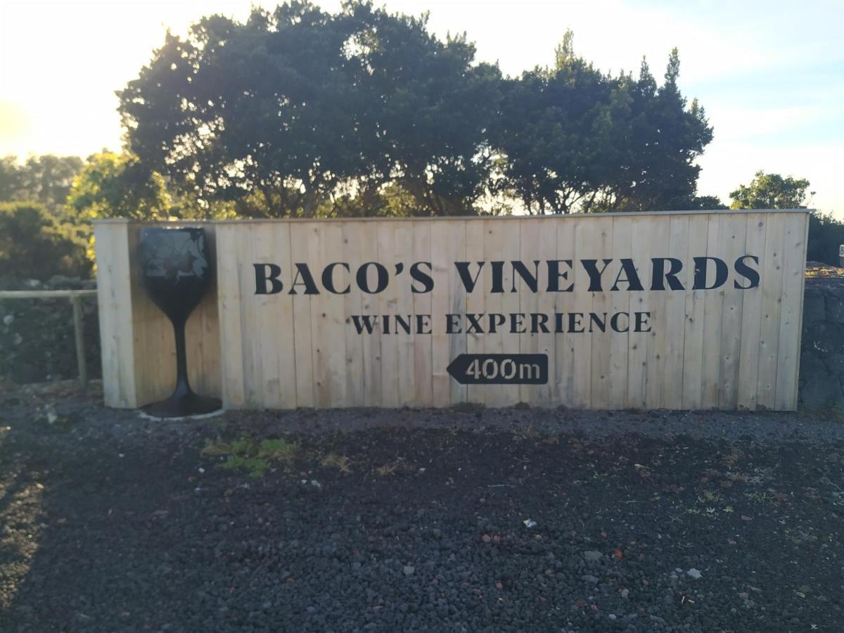 Lajido Baco'S Vineyard 빌라 외부 사진